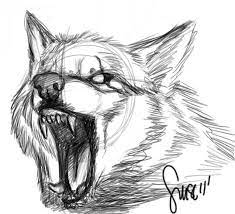 The law of life by jack london. Wolf Growl Sketch By Werewolfsense On Deviantart Wolf Sketch Wolf Drawing Animal Drawings