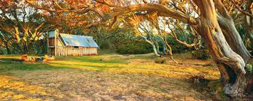 Wallace Hut Falls Creek Vic