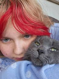 Kitten kitten returns home safely