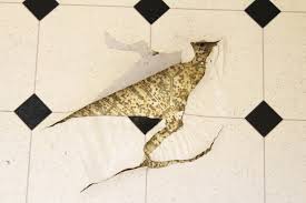 Linoleum Reparieren Das Konnen Sie Gegen Locher Im Boden Machen