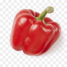 habanero piquillo pepper serrano pepper tabasco pepper cayenne pepper hot chilli natural foods food eating png pngwing