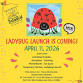 Ladybug Launch