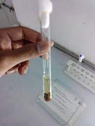 We did not find results for: Robertson Cooked Meat Medium Microbiology Cooking Meat Brushing Teeth