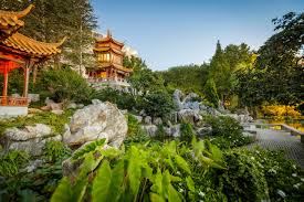 Please choose a different date. Chinese Garden Of Friendship Things To Do In Sydney Darling Harbour