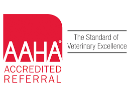 2 reviews of all about pets veterinary hospital i would recommend dr. Boarding And Grooming All Pets Veterinary Medical Center