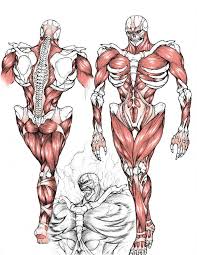 The Titan Titan Reader X Rwby Attack On Titan Fanart Attack On Titan Art Attack On Titan Anime