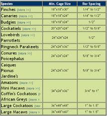 Pick The Perfect Bird Cage What Size And Bar Spacing Does