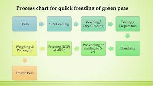 Freezing Of Green Peas