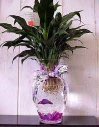 While some people really like a minimalistic design. How To Create A Beautiful Betta Fish Vase Cuteness Fish Plants Fish Vase Beta Fish