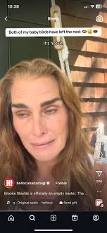 Brooke said she sick of yall comparing her 😂😂😂😂😂