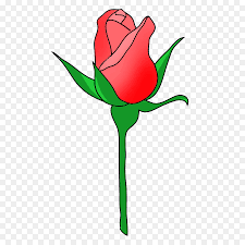 Download now roses kartun bunga ros bunga mawar dilukis tangan meningkat kelopak. Rose Flower Drawing