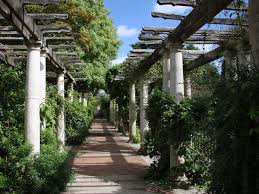 Summer Lovin At The Pergola And Hill Garden Franklyn Vincent Garden On A Hill Pergola Garden
