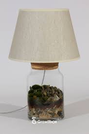 Lampa Terrarium Lamp Indoor Decor Terrarium