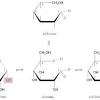 Click here👆to get an answer to your question ️ which of the following represents the anomer of the compound shown? 1
