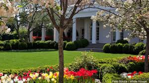 Gardens are symbols of growth and hope, she said. Melania Trump Announces Rose Garden Renewal Project Koam