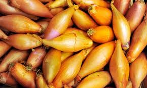 Jun 10, 2012 · onion size approx. How Much Is One Shallot Cooking