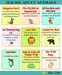 Animal Idioms 165 Useful Animal Idioms From A Z 7 E S L English Idioms Idioms Learn English