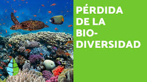 Atlas de geografía del mundo se imprimió. Aprende En Casa Respuestas Sexto Grado De Primaria Semana 11 Al 15 De Mayo Gluc Mx
