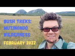 Image result for Brachycorythis buchananii