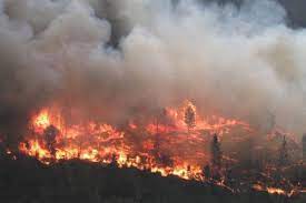 Learn about the causes of wildfires, how wildfires behave and how firefighters fight them. B C Hits 1 003 Wildfires In 2017 Vernon Morning Star
