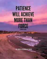 Patience Will Achieve More Than Force Edmund Burke Quotes Sayings Proverbs Thoughtoftheday Patience Quotes Achievement Quotes Motivational Picture Quotes