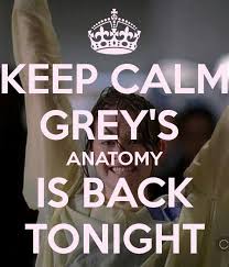 Following a season of twists, it seems dr. Grey S Anatomy Is Back On Tonight D Greys Anatomy Anatomy Calm