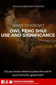 Feng Shui Owl Symbol Use And Significance Feng Shui Beginner