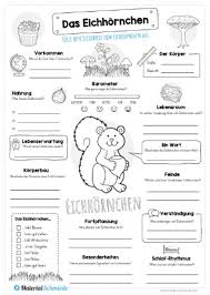 Maybe you would like to learn more about one of these? Eichhornchen Kostenlose Arbeitsblatter