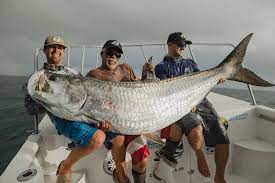 Angler fishing journal · #1 free fishing app The Story Behind The Biggest Tarpon Ever Caught Big Game Fishing Kenya