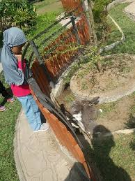 Lihat detail taman kopo indah 2, nilai transaksi terbaru. Rahmat Zoo Park Bengabing Indonesia Review Tripadvisor