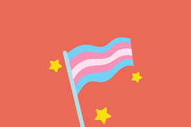 Dates of flag day in 2021, 2022 and beyond, plus further information about flag day. Trans Day Of Visibility Solidarity Statement Action Canada For Sexual Health And Rights