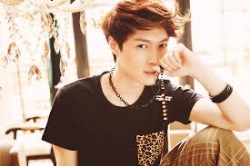 10 Talented K Pop Stars Who Are Not Actually From Korea Exo Lay Exo Facts Exo