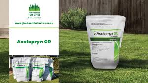 Check spelling or type a new query. Lawn Grubs How To Look Out For And Treat Lawn Grubs Jimboomba Turf