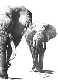 African Elephant Black And White Elephant Pictures Elephant Print Elephant Oil Painting Elephant Portrait Etsy Elephant Art Elephant Print Art Watercolor Paintings Of Animals