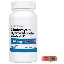 Clindamycin For Dogs Safety Uses Dosage Side Effects