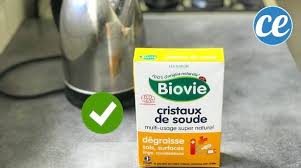 44 Utilisations Etonnantes Des Cristaux De Soude Cristaux De Soude Conseils De Nettoyage De Voiture Nettoyer La Cuisine