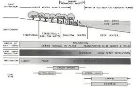 Coal Anthracite Bituminous Coke Pictures Formation Uses