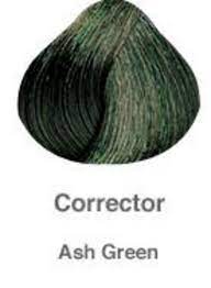 Pravana Chromasilk Hair Color Correctors Ash Green Pravana Hair Color Ash Green Hair Color Hair Color