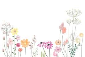 Most relevant best selling latest uploads. Anime Floral Explore Tumblr Posts And Blogs Tumgir