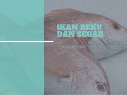 Google's free service instantly translates words, phrases, and web pages between english and over 100 other languages. Ready 62 811 1701 007 Jual Beli Ikan Salmon In English Beku