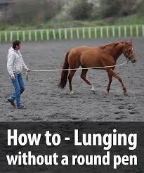 How To Lunging Without A Round Pen Horses Lunging Horse Horse Lessons