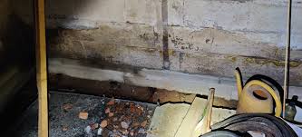 Image result for site:byggahus.se frostsprängd