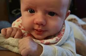 Marc Freelander's Instagram, Twitter & Facebook