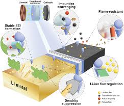 Recent Progress of Advanced Functional Separators in Lithium Metal  Batteries - Seo - 2024 - Small - Wiley Online Library