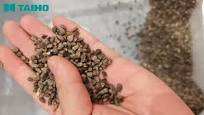 TAIHO AI Color Sorter Machine - Remove impurities from unhulled buckwheat,  #colorsorter #sorting #sortingmachine #taiho #machine #manufacturing  #agtech #opticalsorter #sorter #buckwheat #agriculture ...