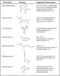 Chemistry Jokes Memes Guaranteed To Make You Laugh Letterpile