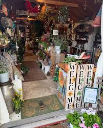 Image result for tbn:0PJB32OL7JwfOM::farm4.static.flickr.com/3324/3329876139_f2d551139f.jpg