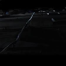 Denovali Records · Events