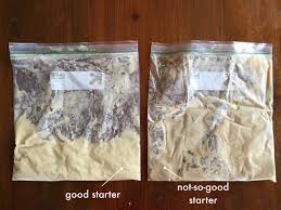 Collection by nita shay • last updated 6 days ago. Tutorial Good Vs Not So Good Amish Friendship Bread Starter Friendship Bread Kitchen