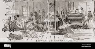 Cotton production history hi-res stock ...
